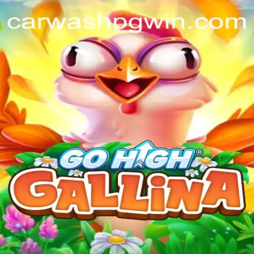 Exploring the Thrills of GoHighGallina