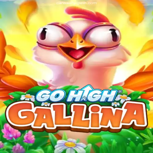 Exploring the Thrills of GoHighGallina