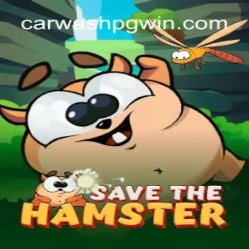 SavetheHamster: An Exciting Adventure in a Digital World
